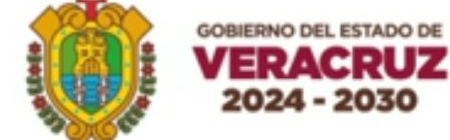 Gobierno del Estado de Veracruz